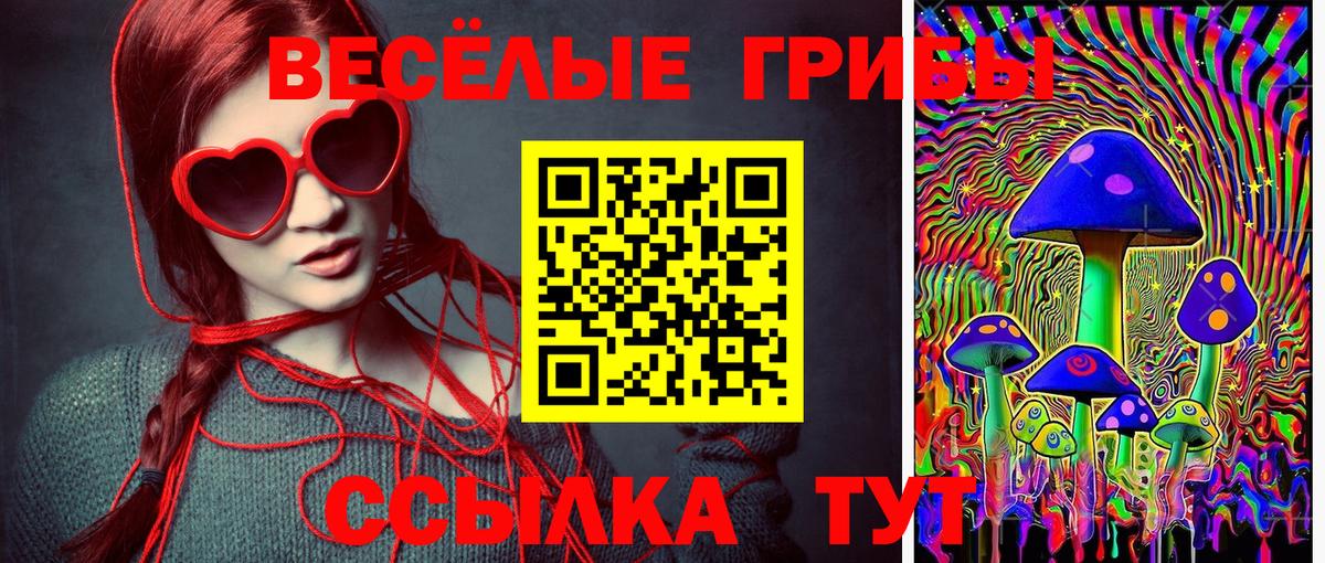 Псилоцибиновые грибы Psilocybine cubensis  Псилоцибиновые грибы прущие грибы  Вход с VPN  наркотики  Тавда 