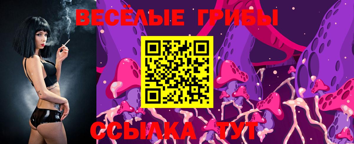 Галлюциногенные грибы Cubensis Тавда