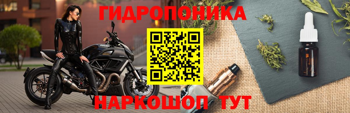 МАРИХУАНА Amnesia Тавда